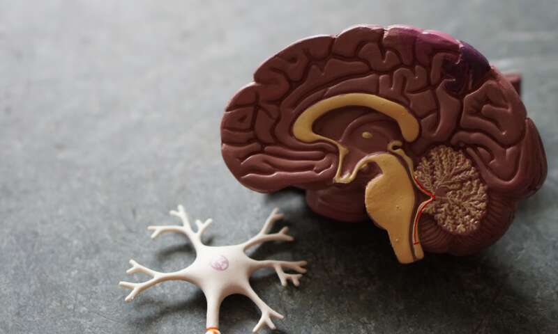 The Vascular Dementia Timeline Explained